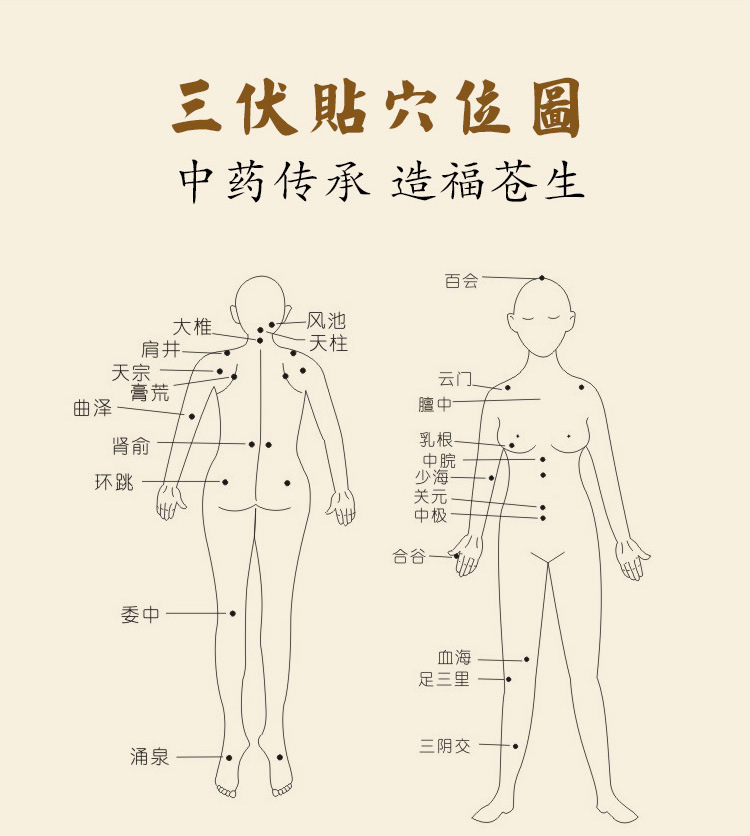 三伏贴详情_10